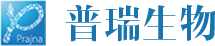 九游生物制药（集团）股份有限公司